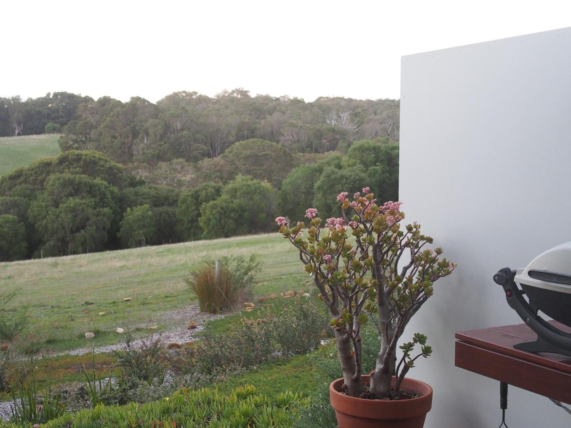 Hilltop Studios Margaret River Exteriör bild