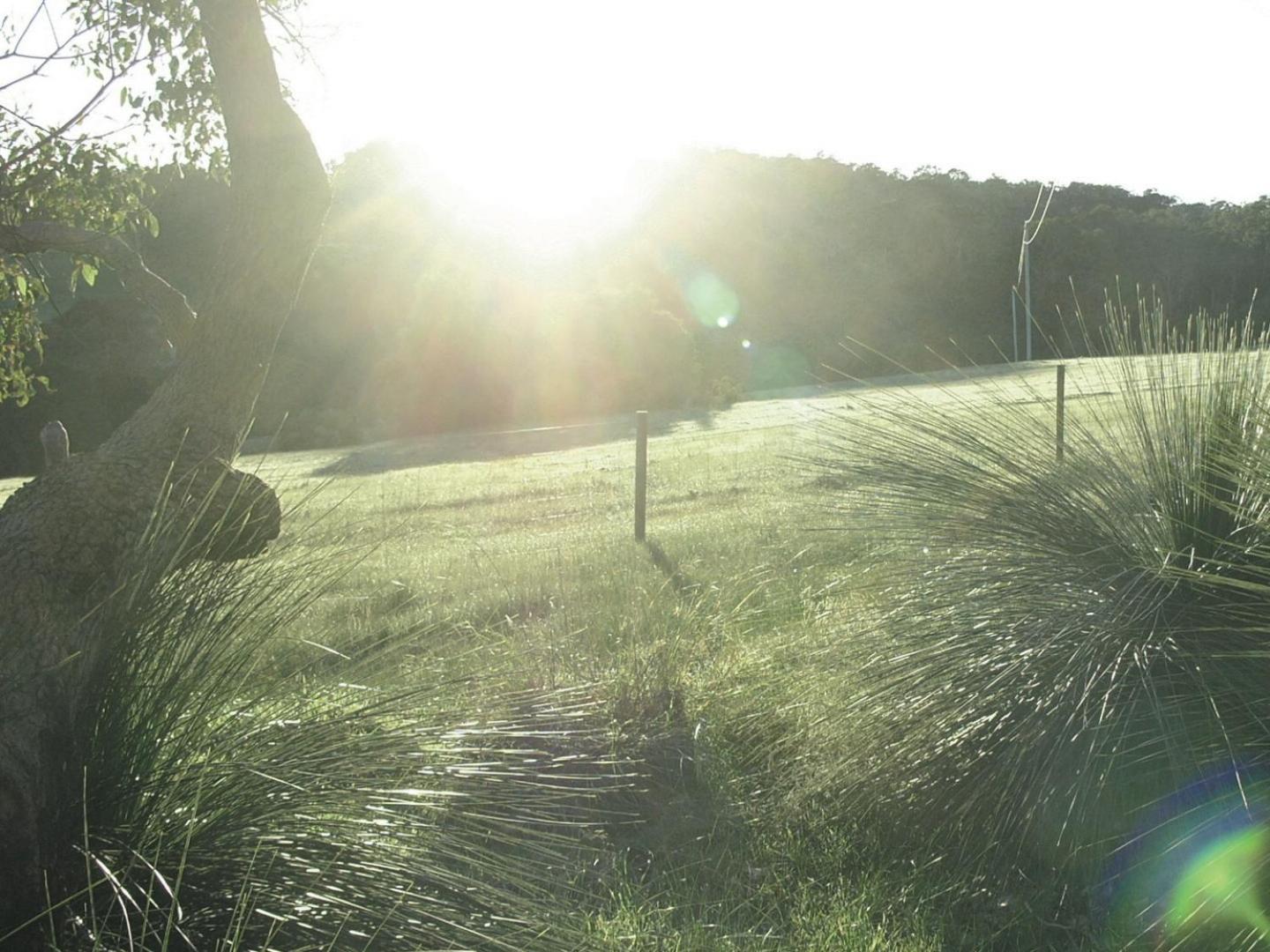 Hilltop Studios Margaret River Exteriör bild