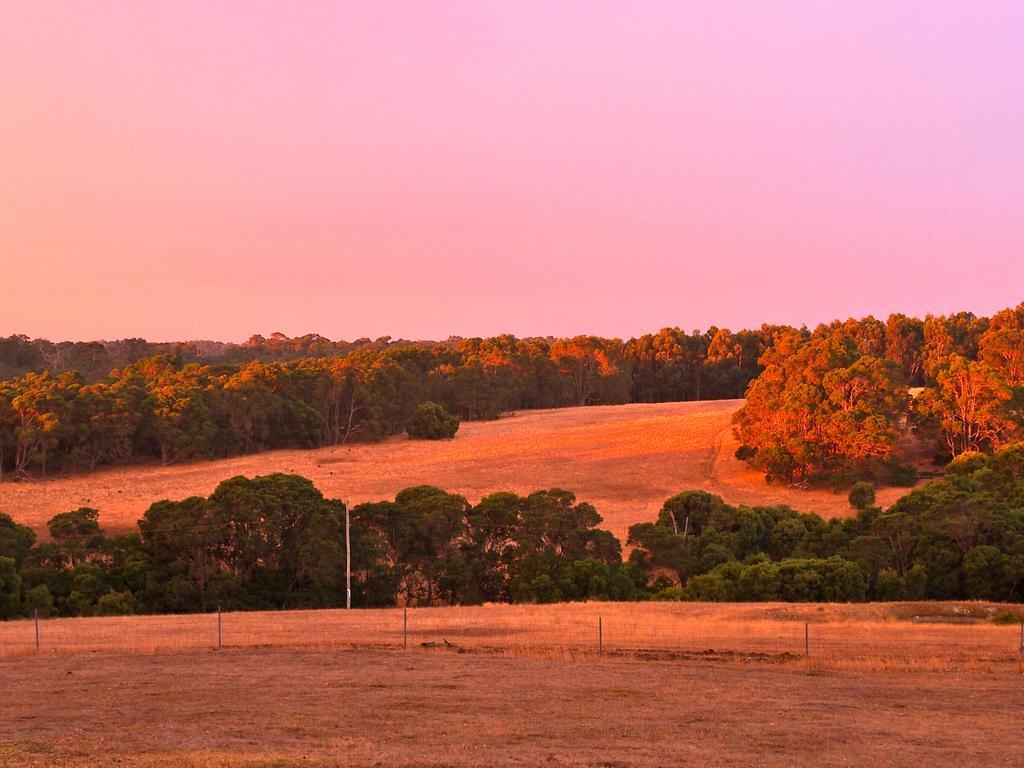 Hilltop Studios Margaret River Exteriör bild